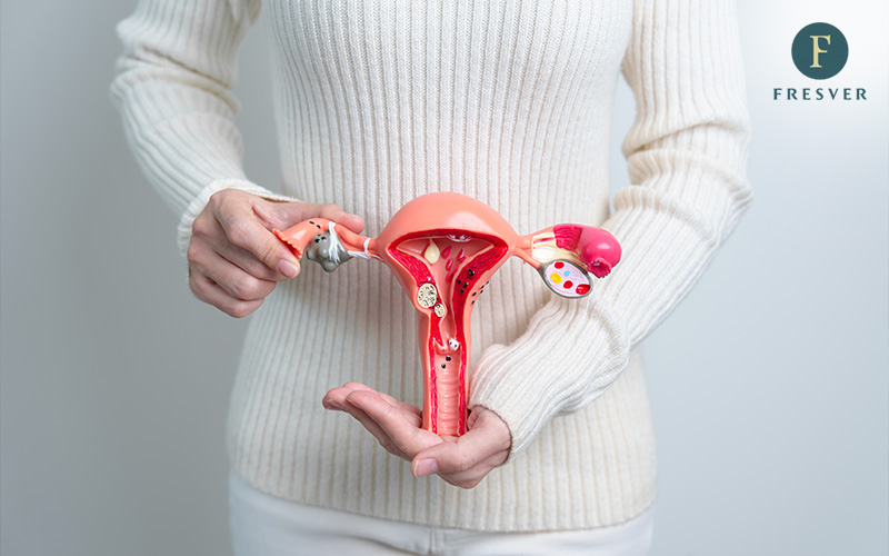Woman holding a model of the womb